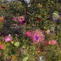 Tent-Camera Image: View of Monet's Garden #3, Giverny, France