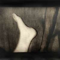 Miscegenation