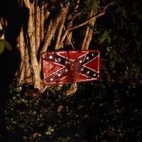 Untitled (Rebel Flag License Plate on Tree)