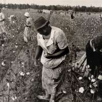 Cotton Pickers, Pulaski County, Arkansas