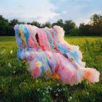Tulle no. 58, Claverack, NY