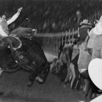 Bucking Horse, Huge White Hat Right Side of Frame