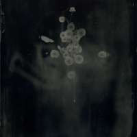 Ambrotype #48
