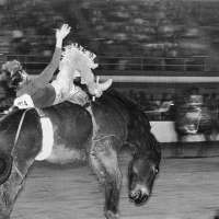 Cowboy, Hat on Edge of Frame, Rodeo