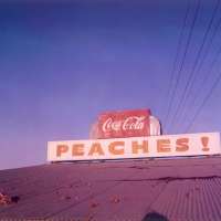 Peaches