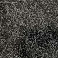 Rhode Island (Grasses)