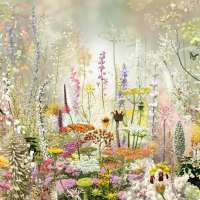 Floresta #10