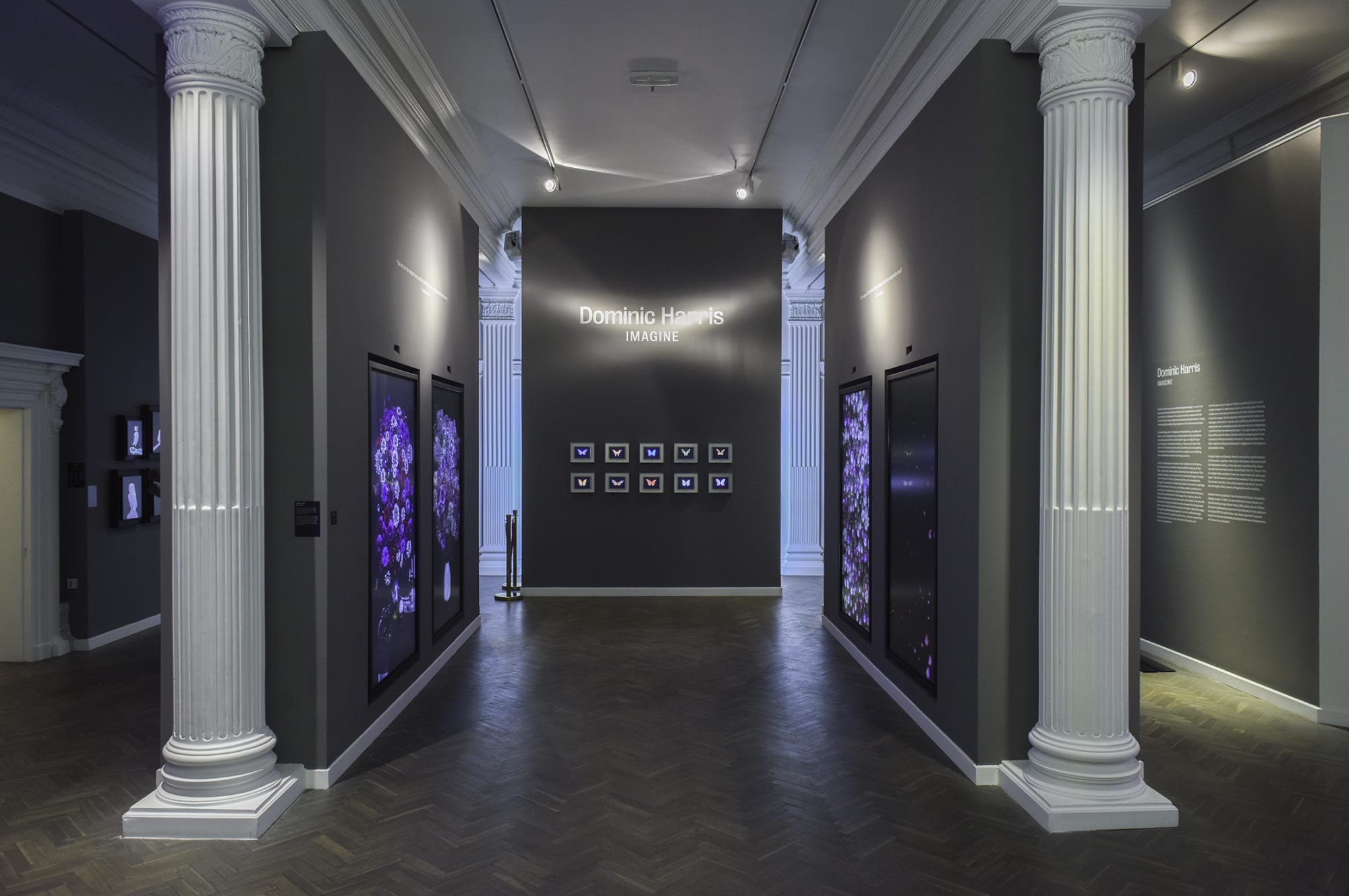 Imagine, Halcyon Gallery, 2019