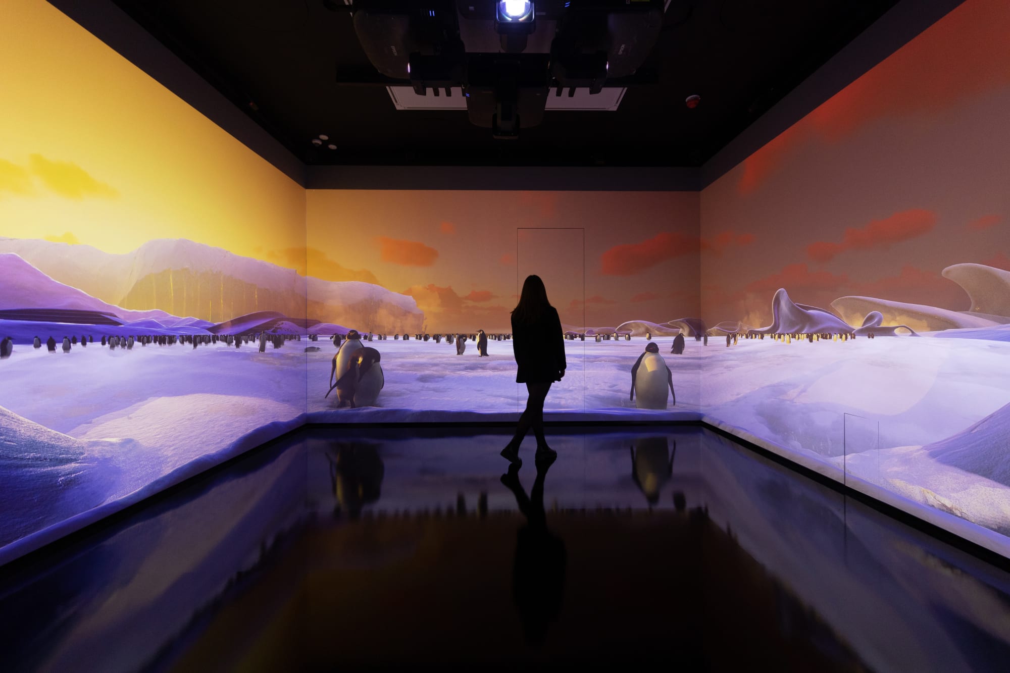 Feeding Consciousness, Halcyon Gallery, 2023