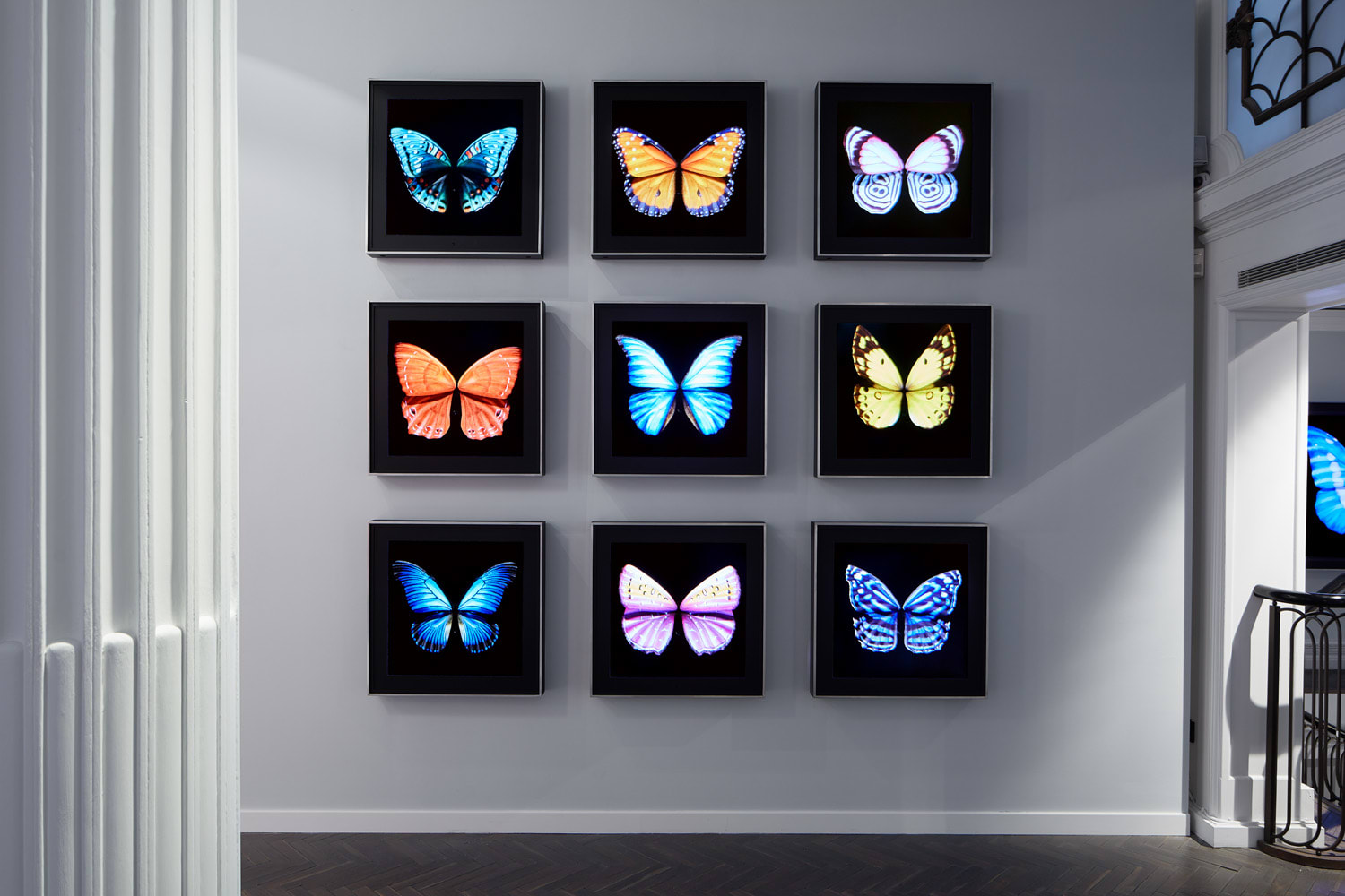 US NOW, Halcyon Gallery, 2020