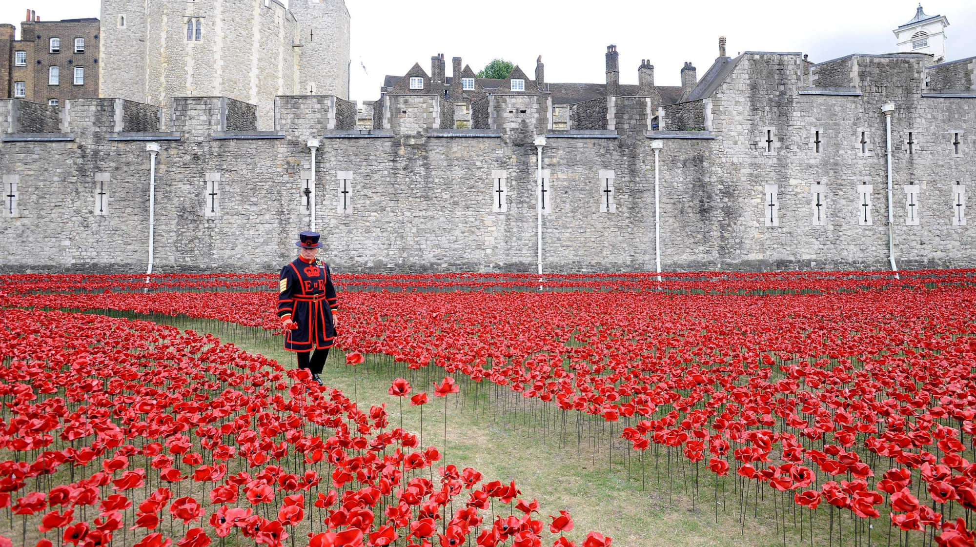 Blood Swept Lands and Seas of Red, Tower of London, 2014