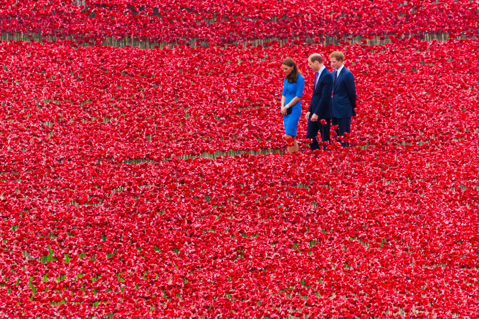 Blood Swept Lands and Seas of Red, Tower of London, 2014 © Paul Davey / Alamy