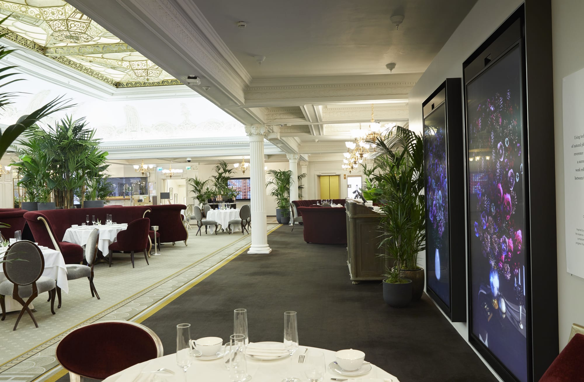 Bloomed Wall, Dominic Harris at The Harrods Tea Room