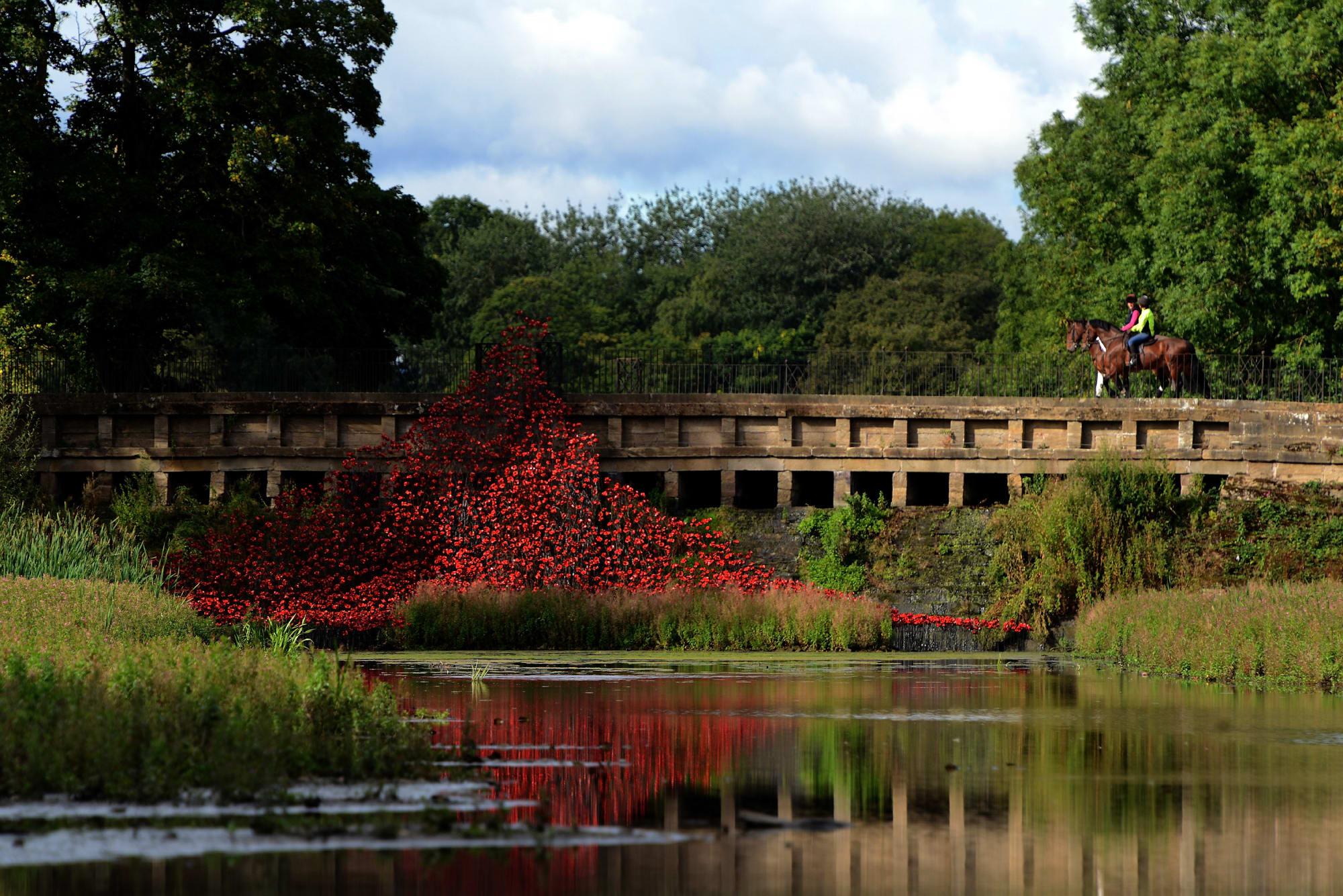 Wave, YSP, Yorkshire. Photo by Nigel Roddis/Getty Images