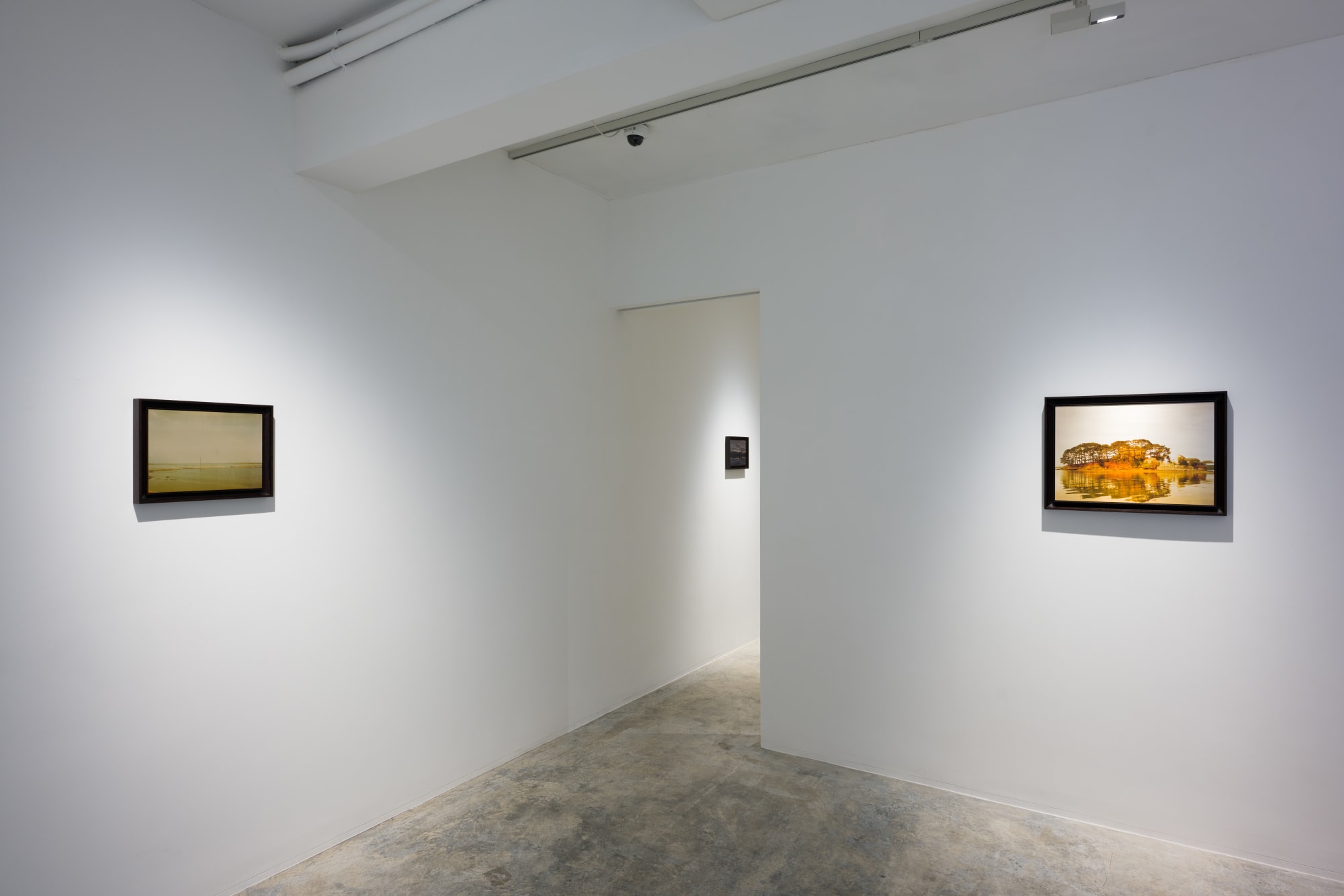 Elger Esser Silberblumen