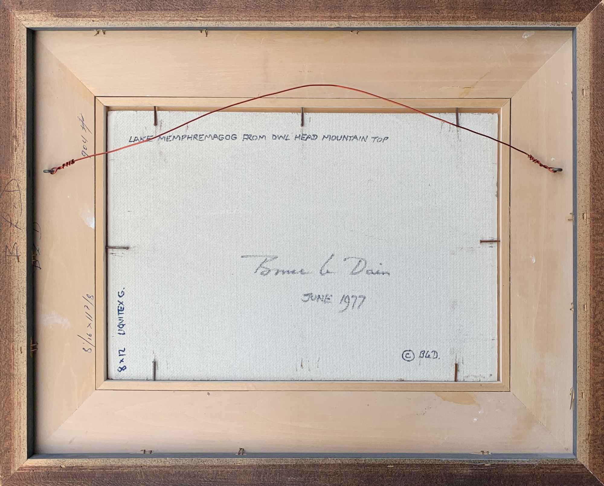 Lake Memphremagog From Owl's Head Mountain Top