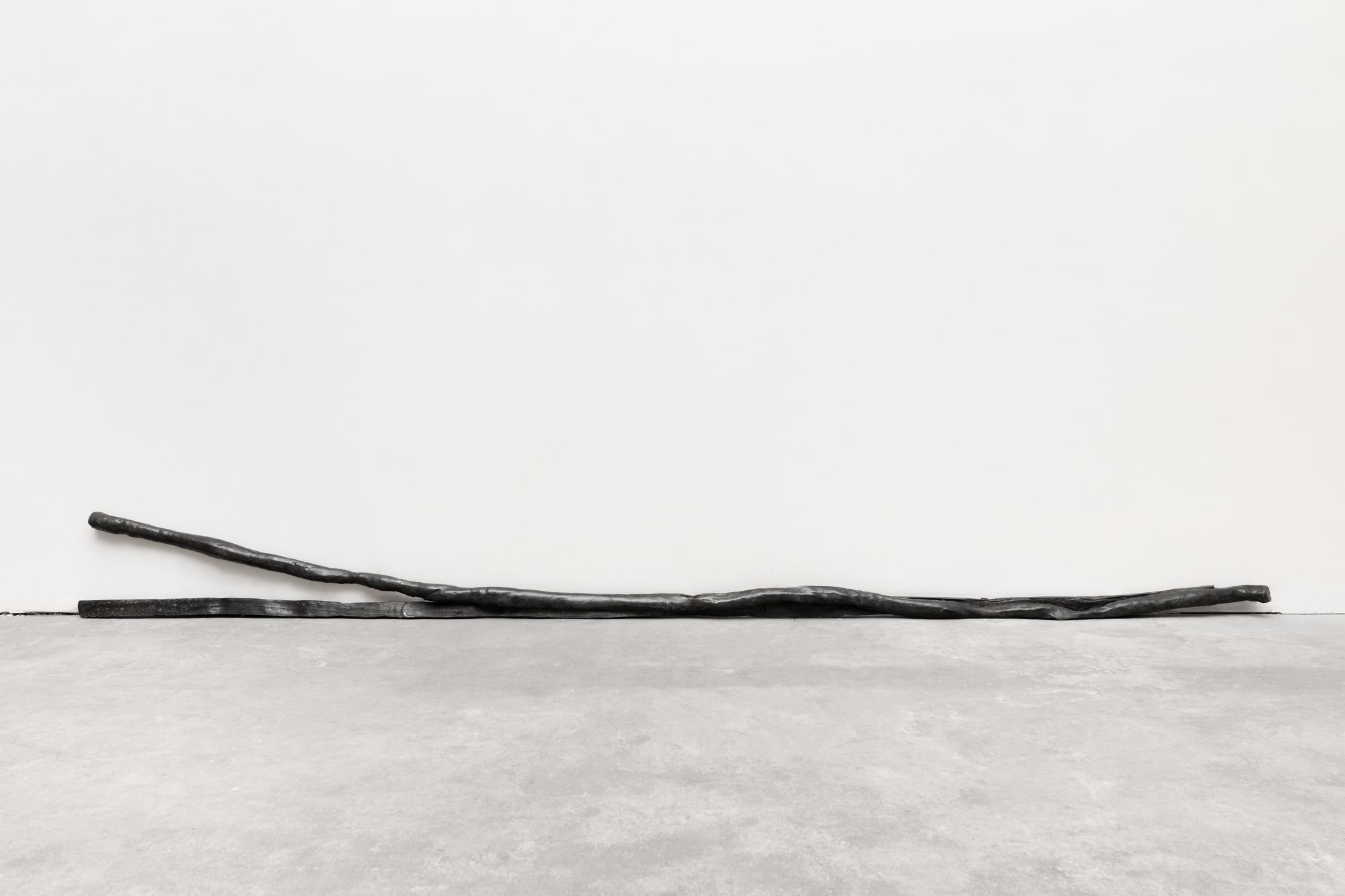 Paulo Monteiro, Untitled/ Sem título, 2006