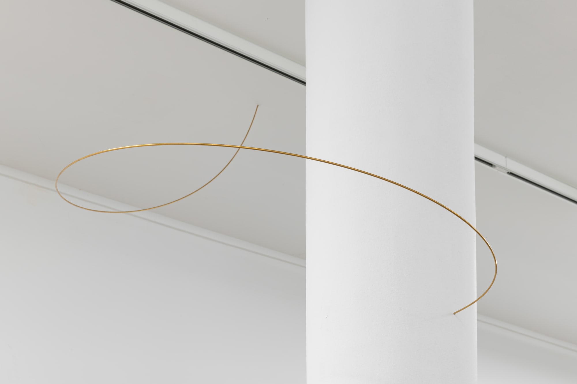 Joana Escoval, Flowers powder the air around and settle on our arms eyes and hair, 2022