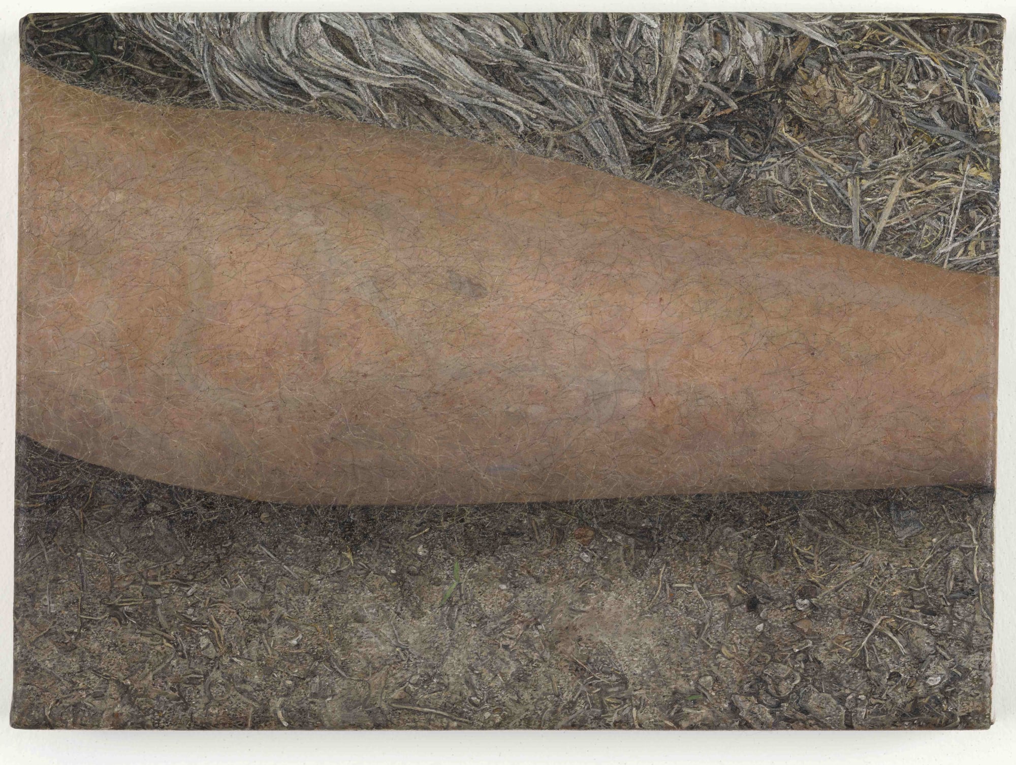 The Female Gaze, Part Two