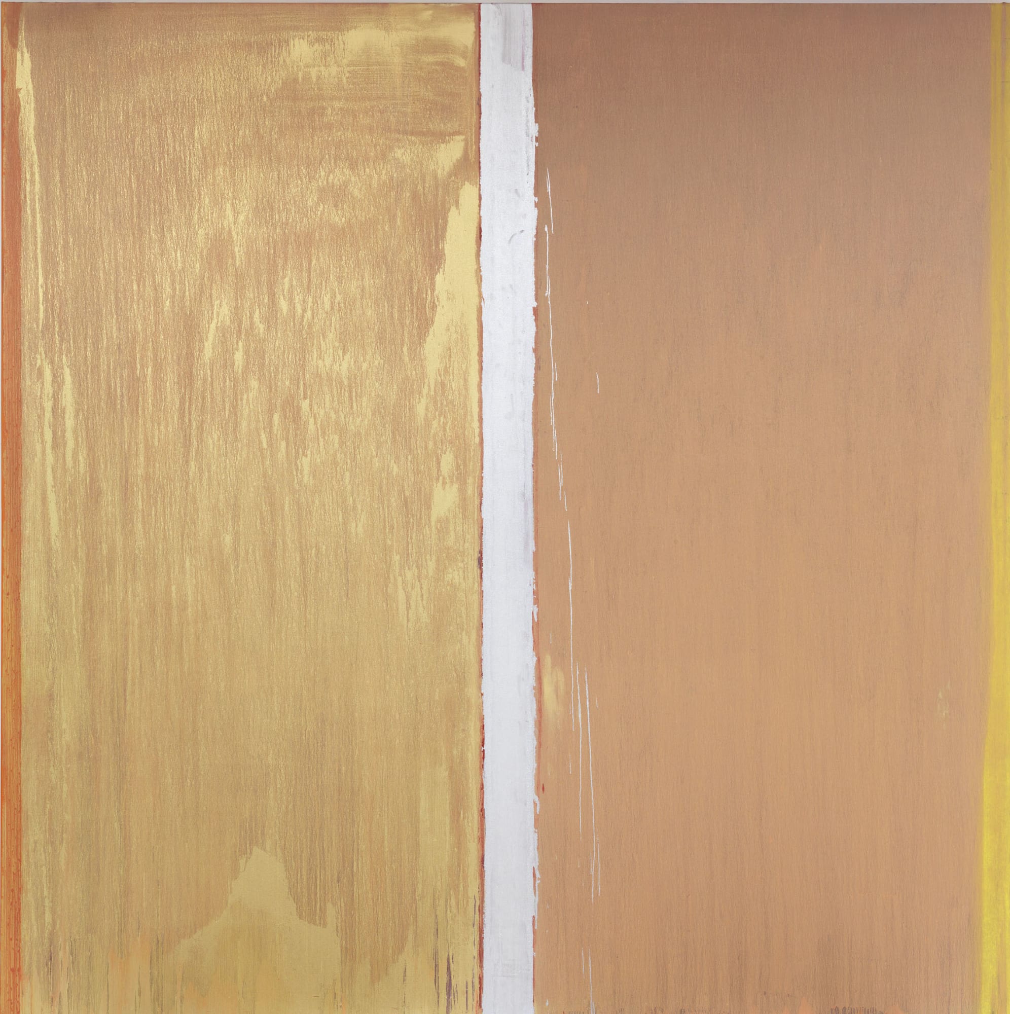 Pat Steir