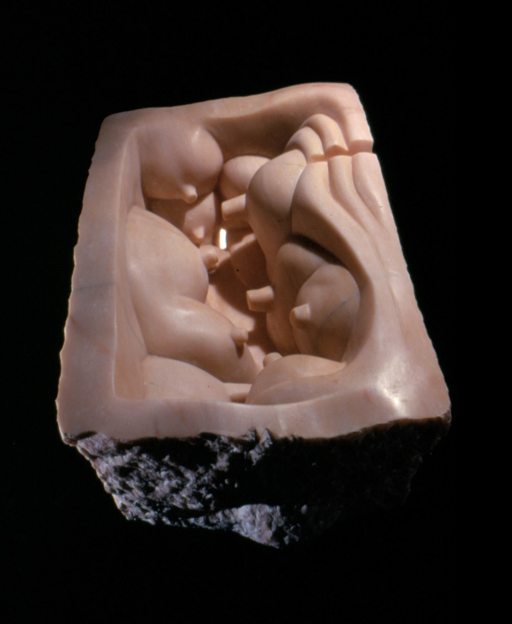 The Women in Our Life