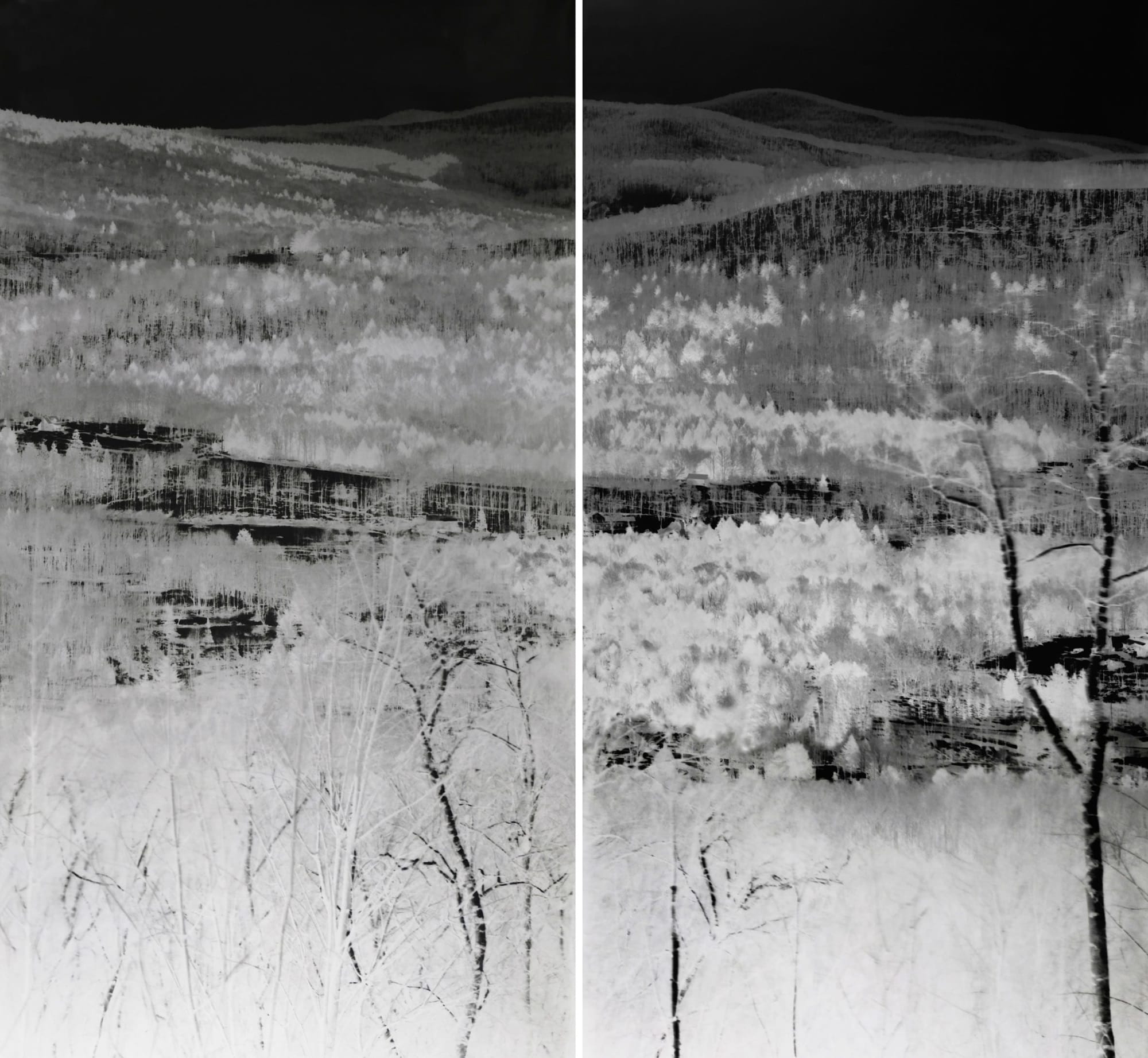 Shi Guorui, View of Catskill Mountains, New York, Mar 18-19 2019, 2019