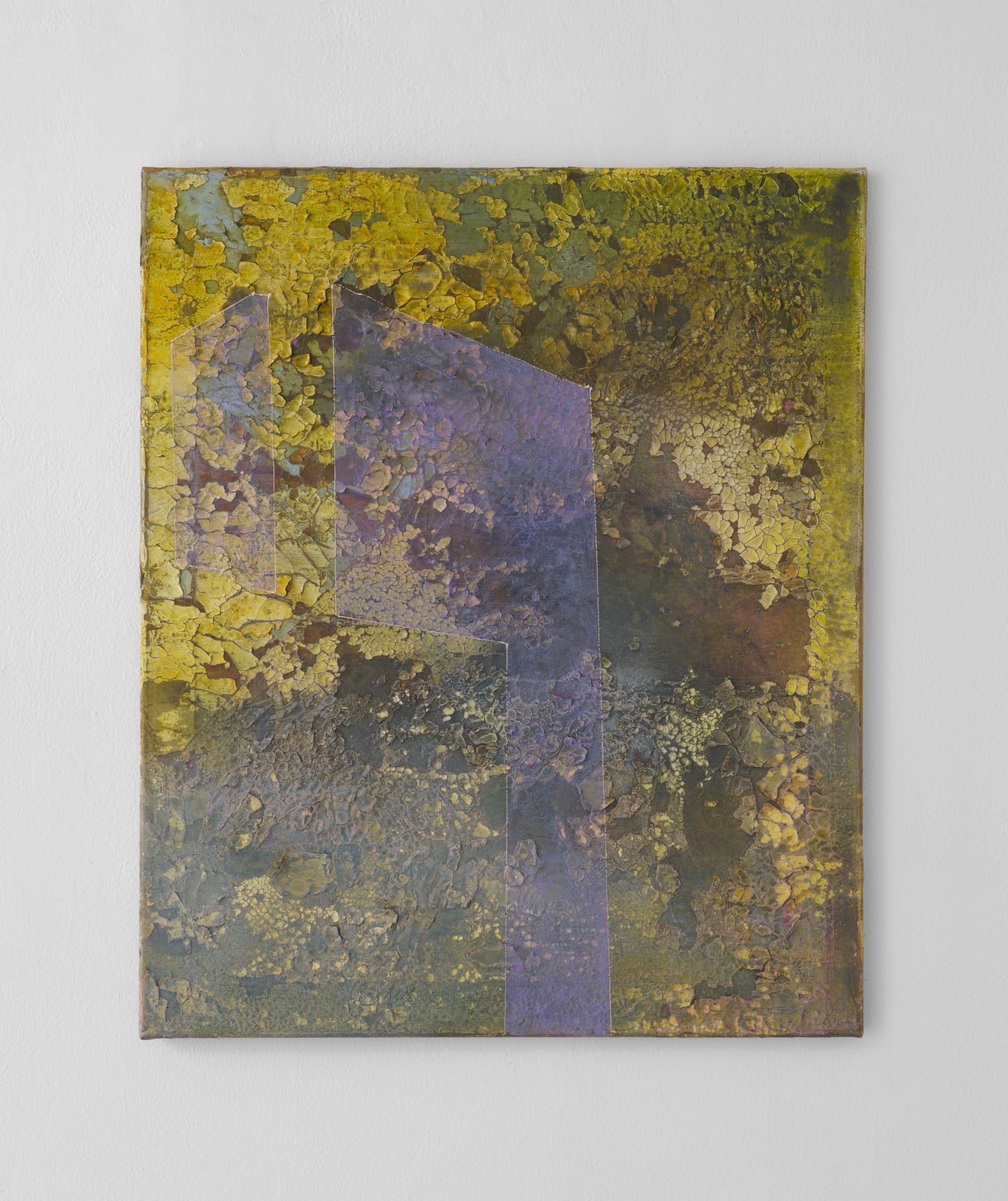 Jan Dickey, Wood Warbler, 2024