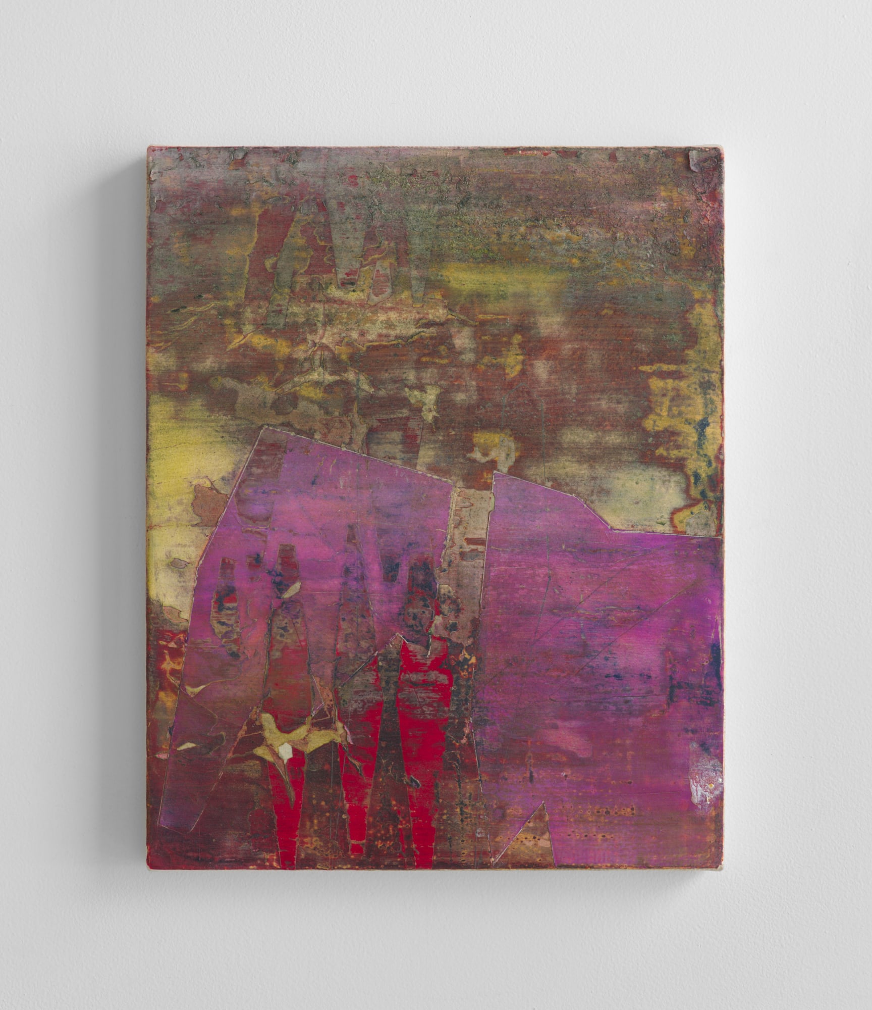 Jan Dickey, Lapwing, 2024