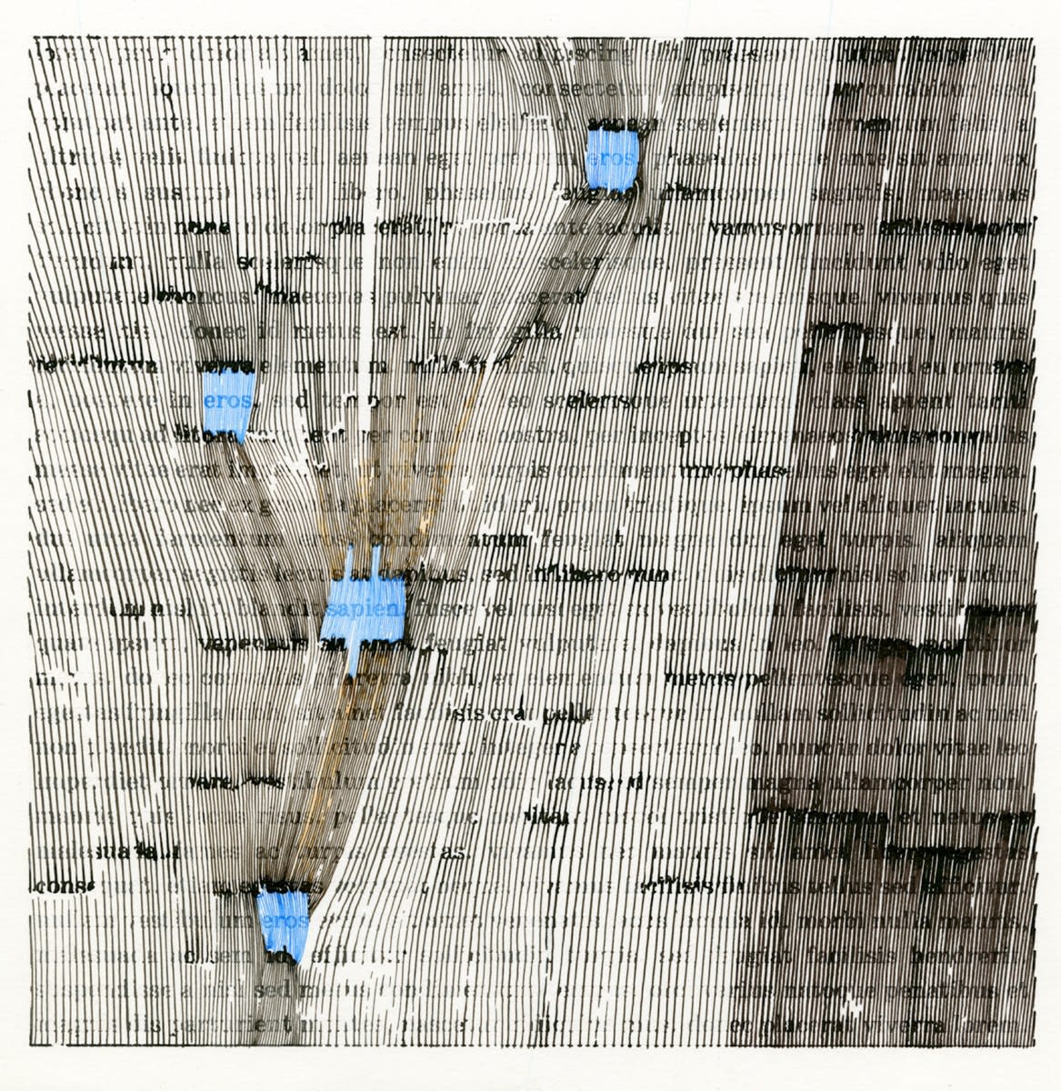 R Kauff, Eros Sapien, 2021