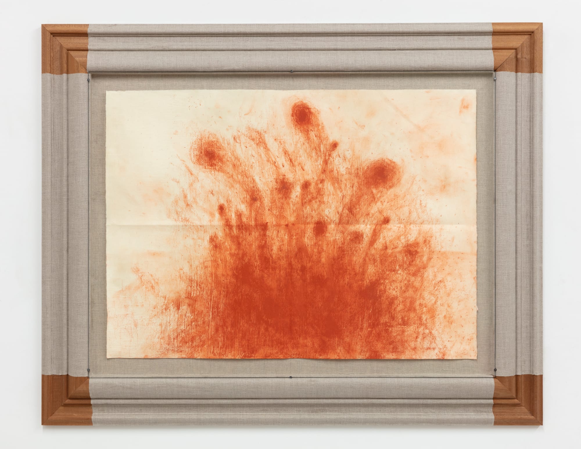 Dominic Palarchio, Innocence Abroad, 2024