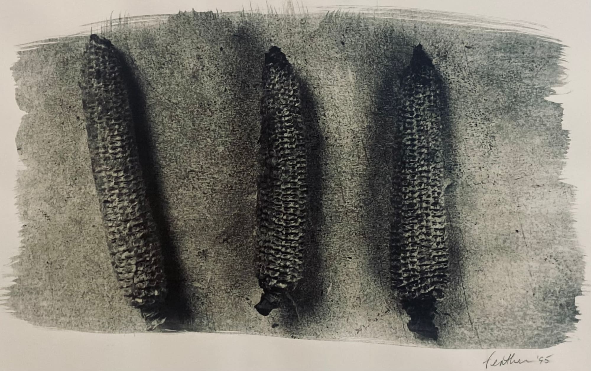 Henry Feather, Corn, 1995
