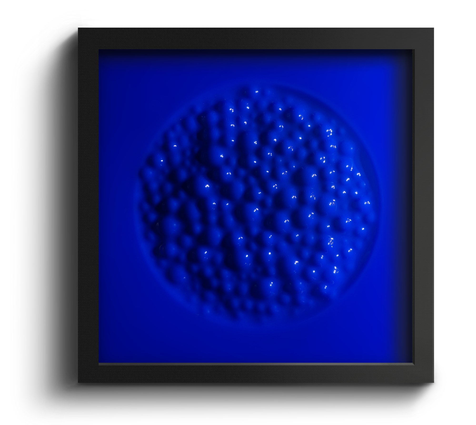 Fabio Tasso, P8CDBXY18V0 (6), 2018