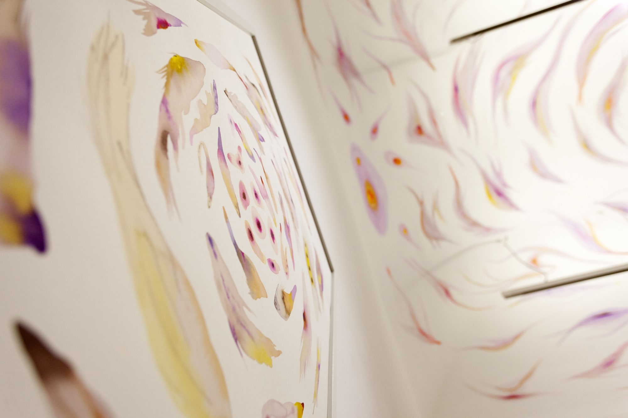 Isabella Nazzarri, Genesi, 2016