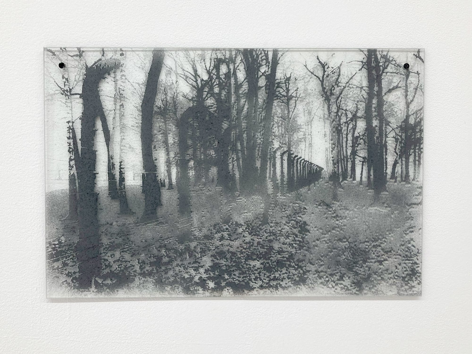 Nicolas Daubanes, À la faveur de la nuit 07, 2022