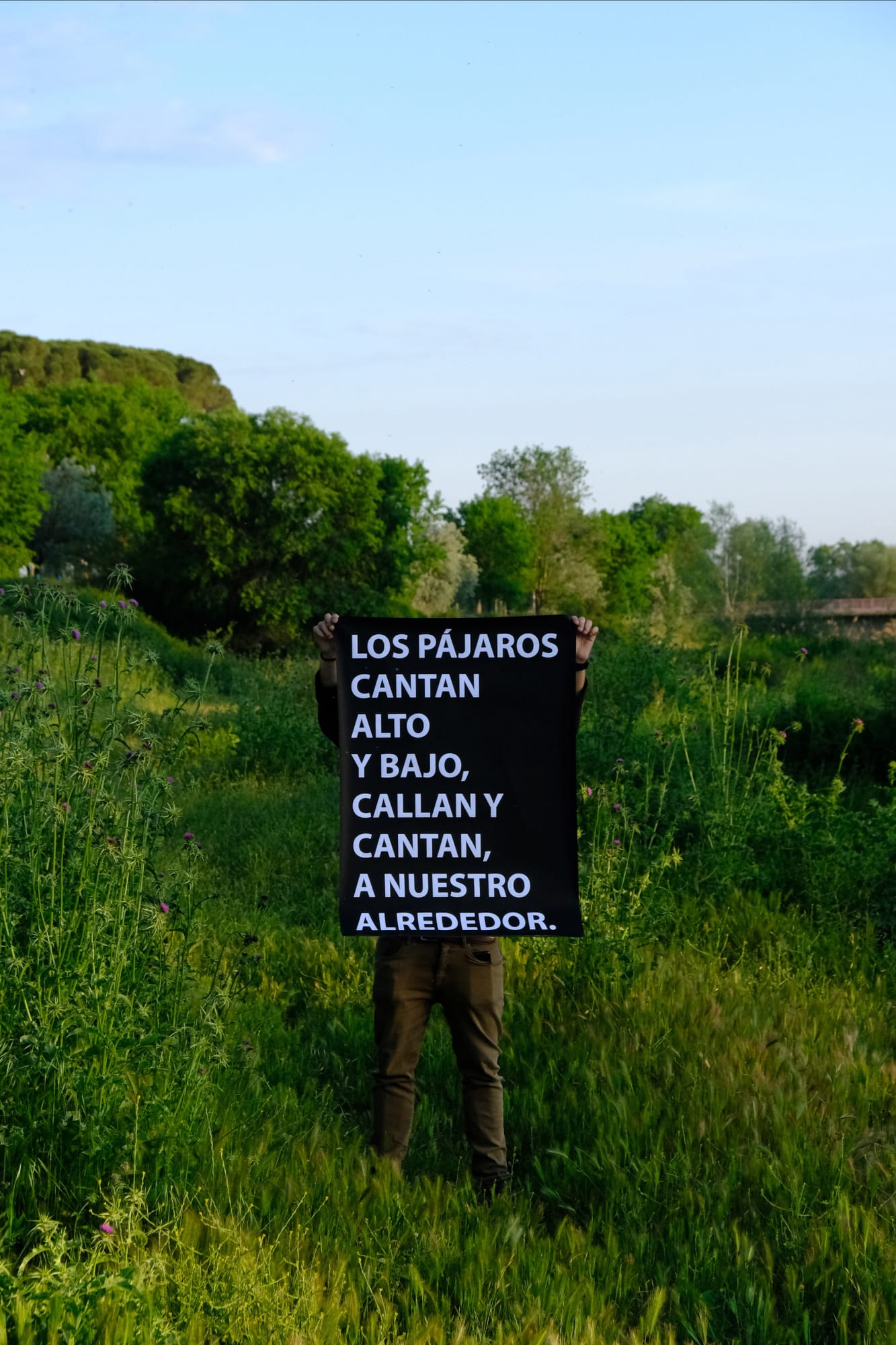 Laura Llaneli, Ruido. Virginia, 2022