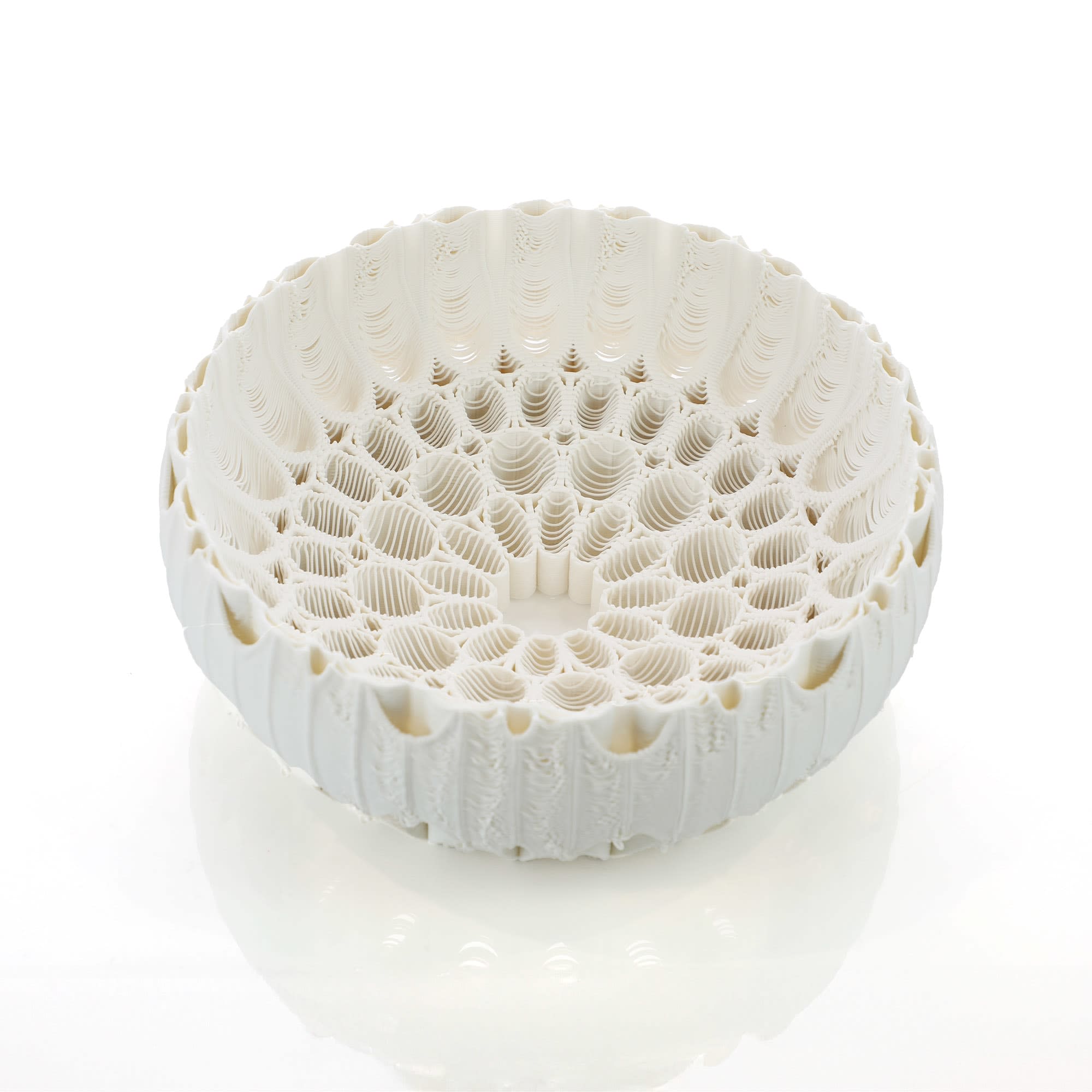 Nico Conti, Filigree of Light: Gentle Loops, 2024