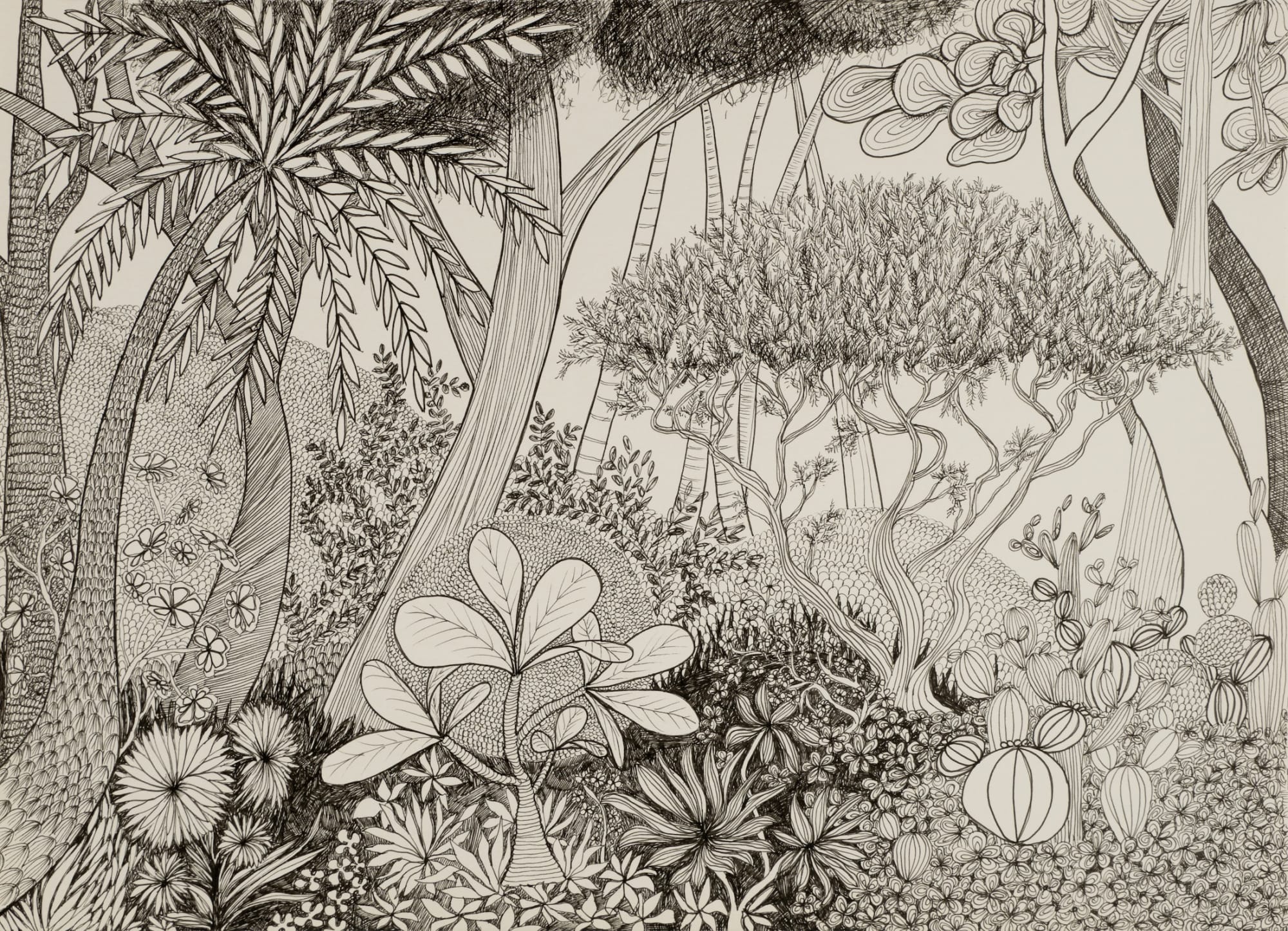 Bénédicte Gimonnet, Acacia , 2022