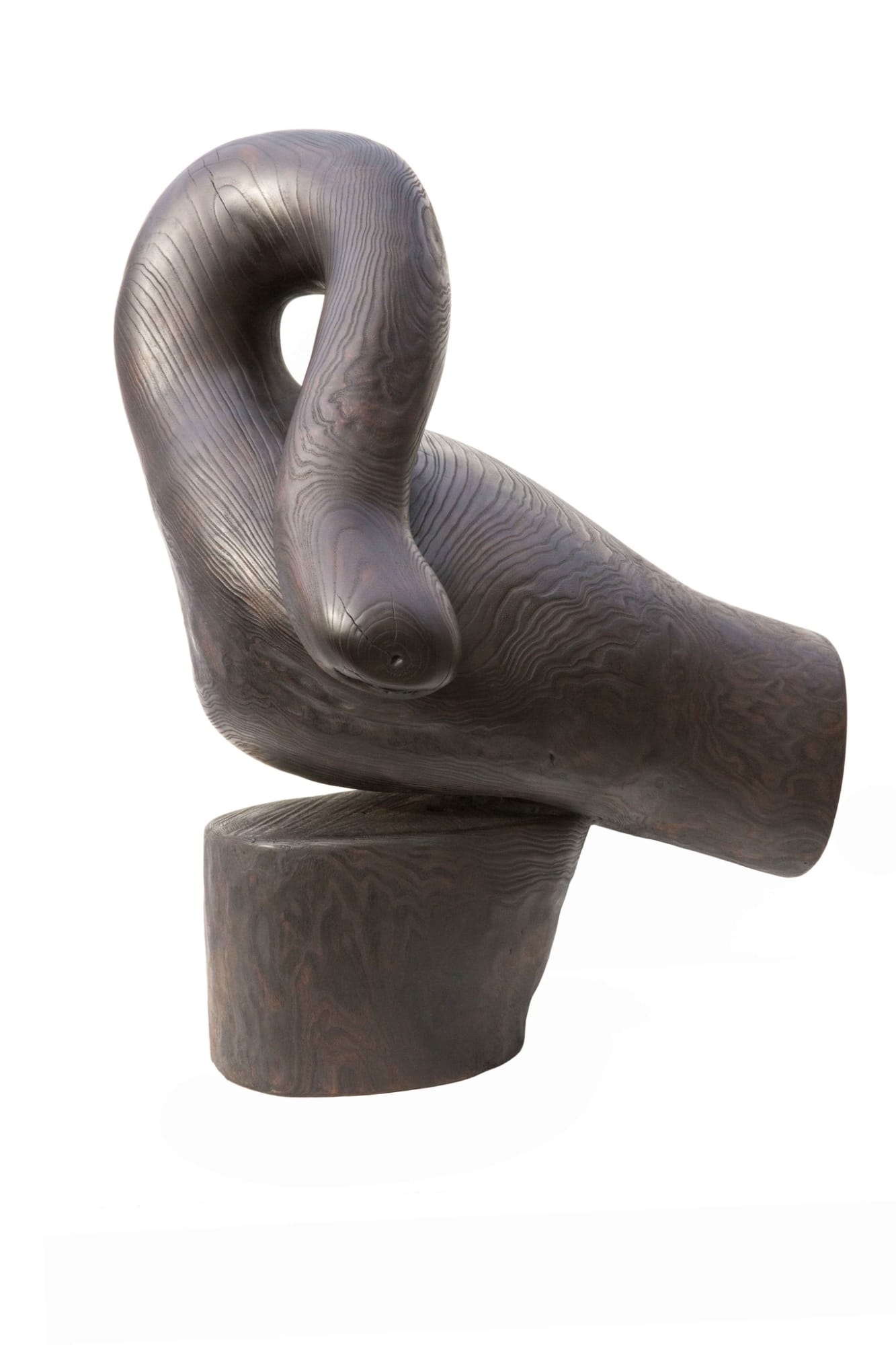 Wang Keping, Bird, 2011