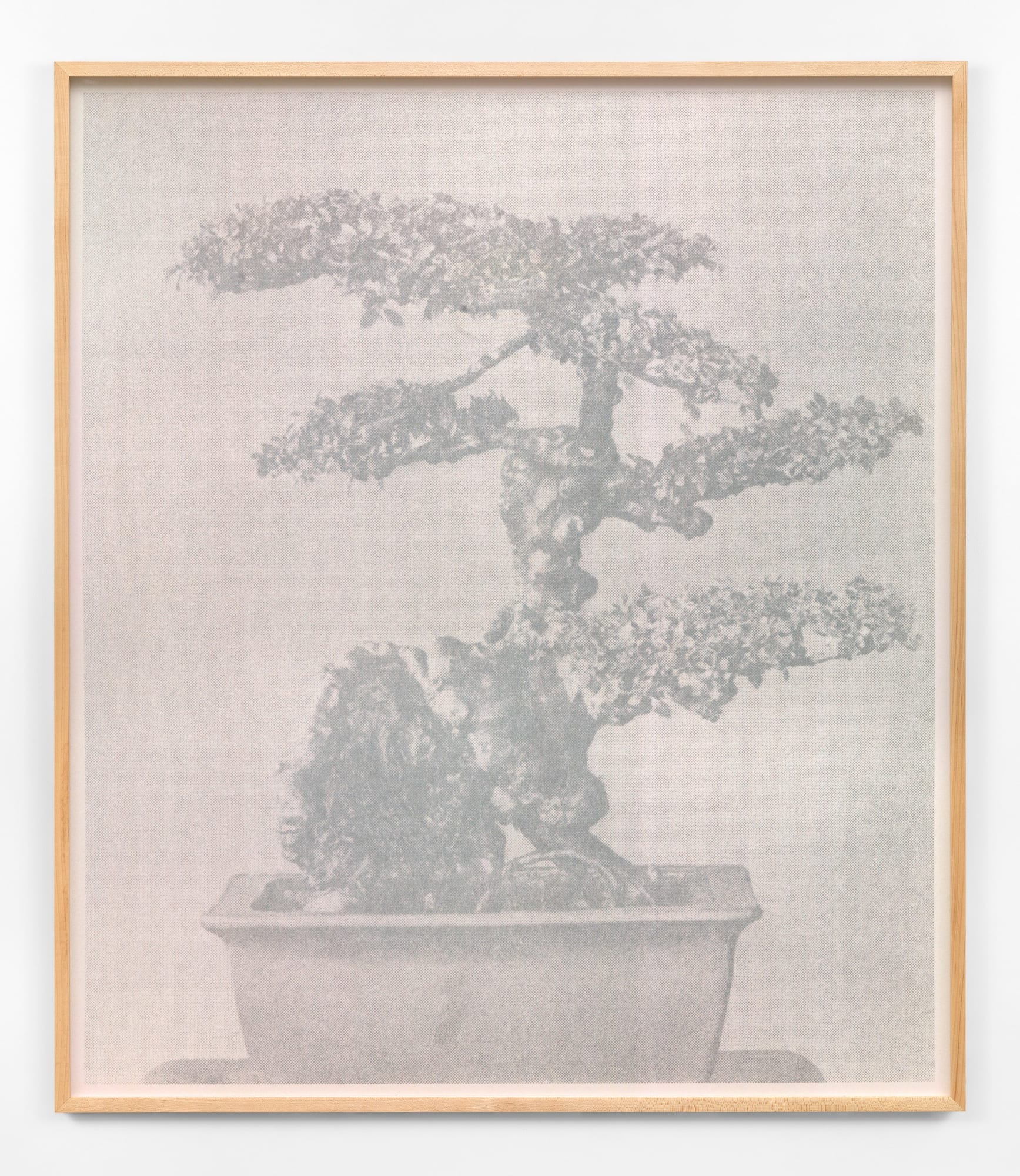 Feiyi Wen, The Untiled from Wood, Water, Rock, 2021