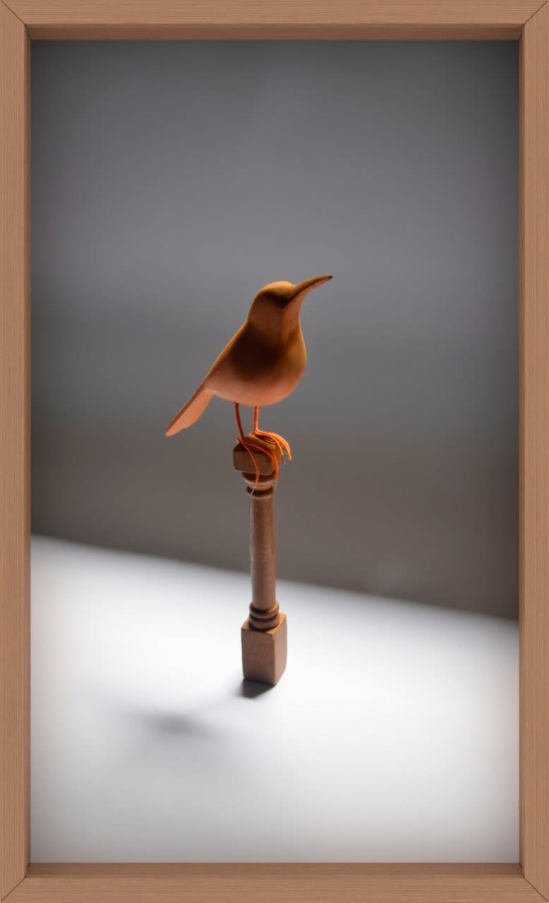 Rochelle Costi, Pássaro - Série: Equilíbrio, 2020-2021