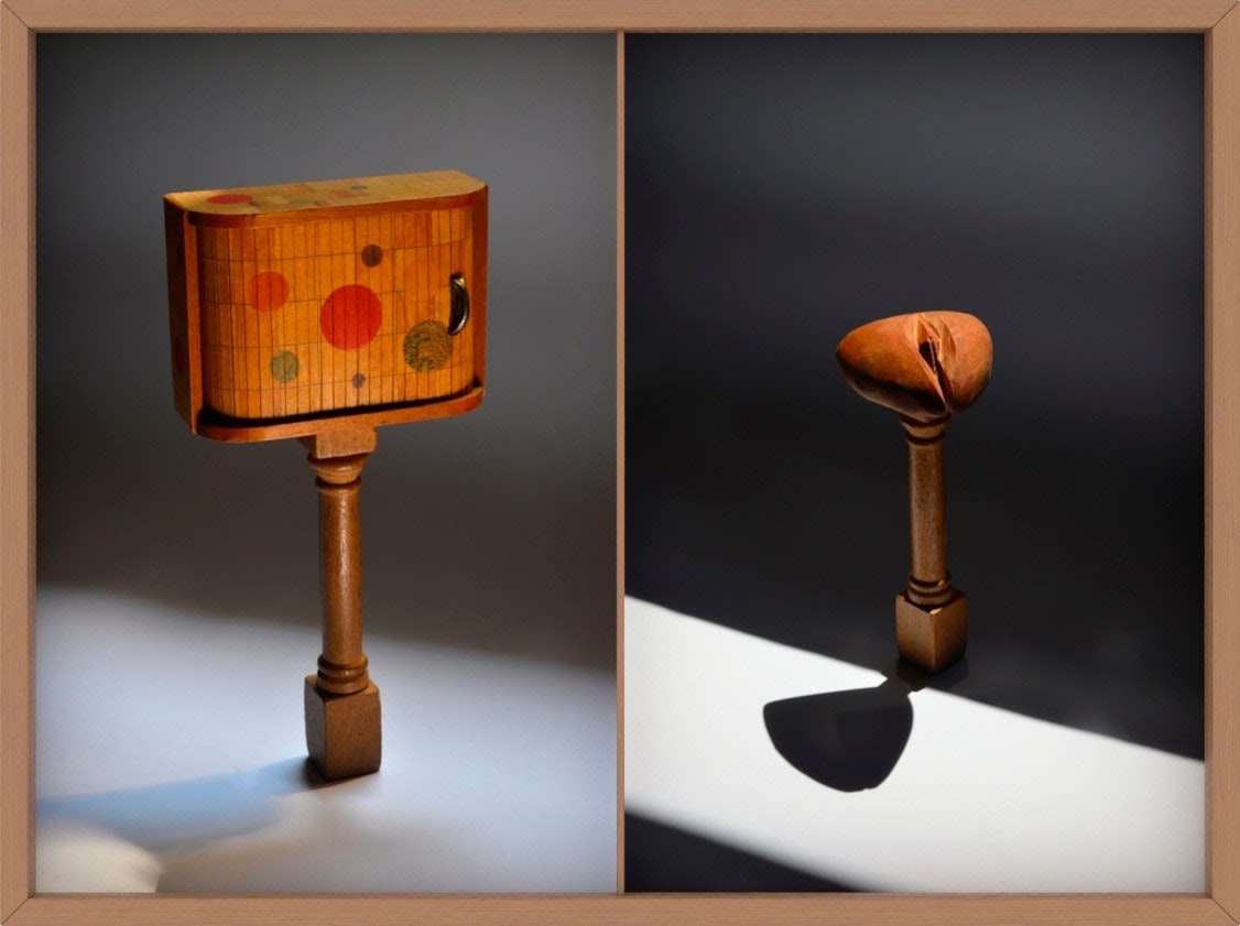 Rochelle Costi, Armarinho + vagina - Série: Equilíbrio, 2020-2021