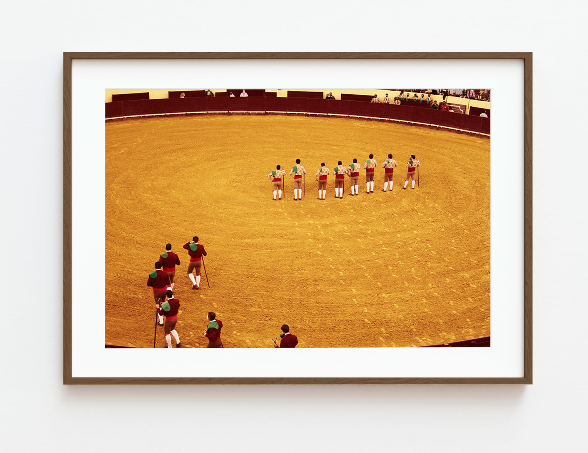 Flavia Bertinato, Série Touradas (Arena), 2021