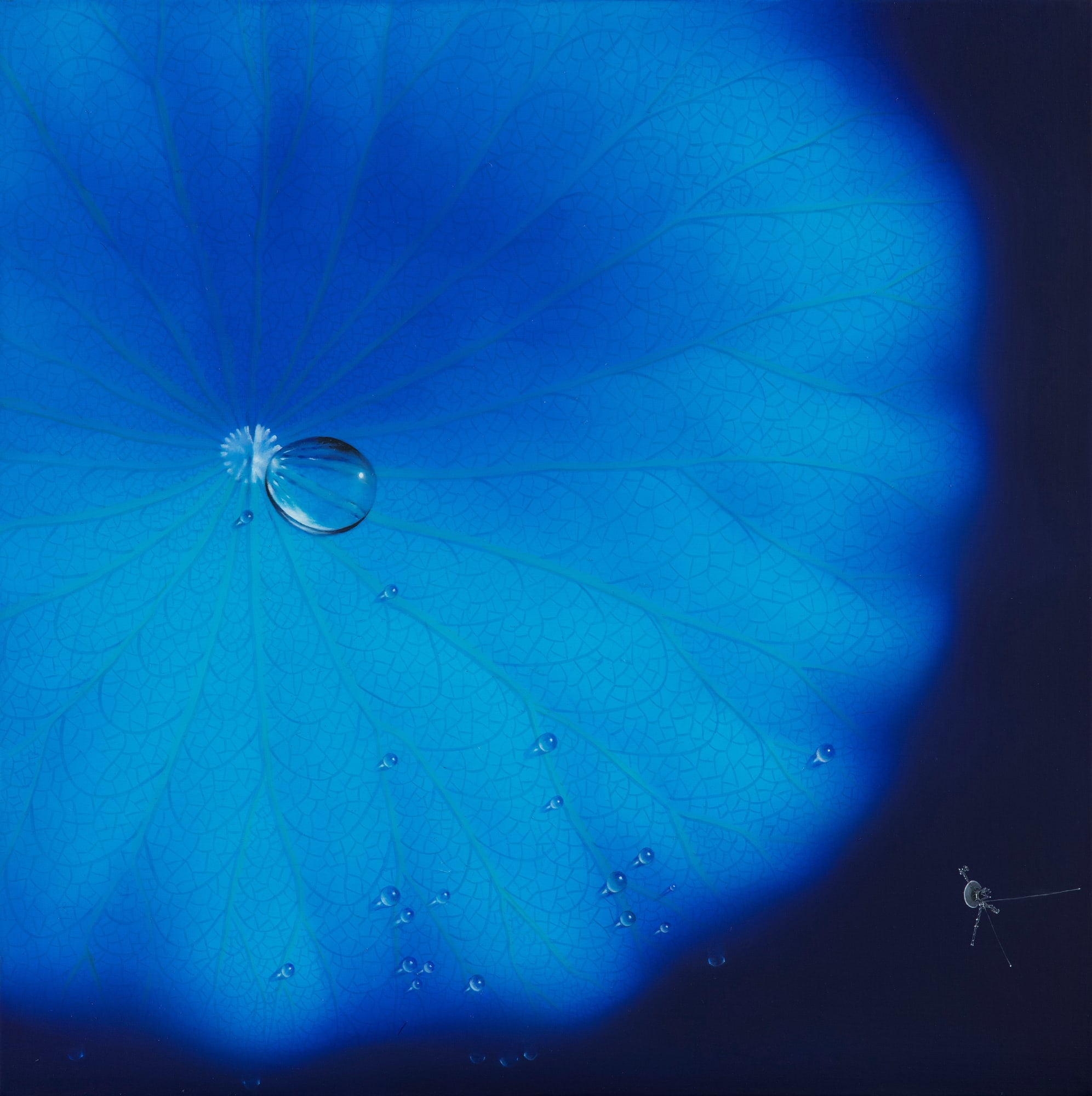 Sang Woon Nam, Blue Moon 20234, 2023