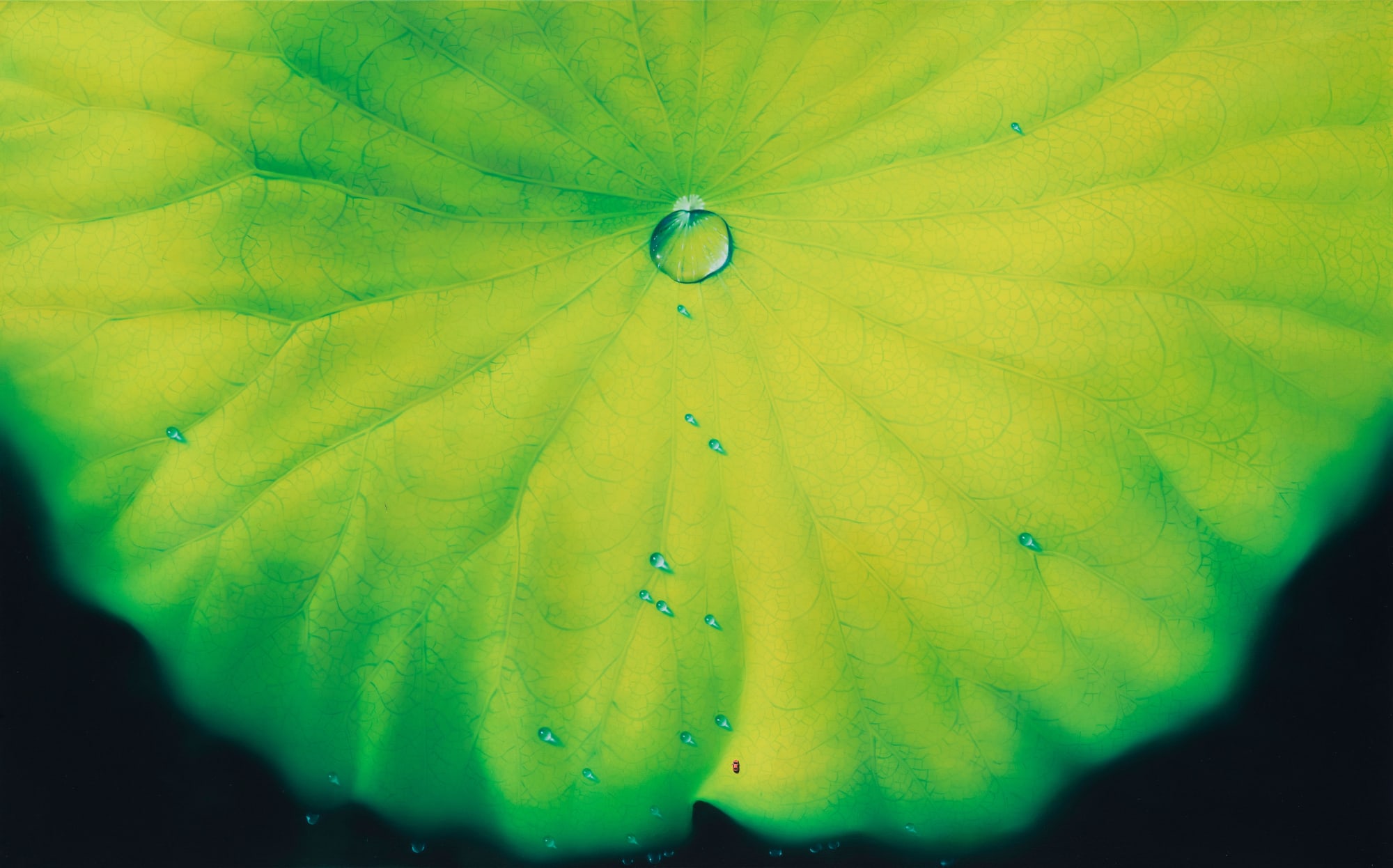 Sang Woon Nam, Yellow Moon, 2021