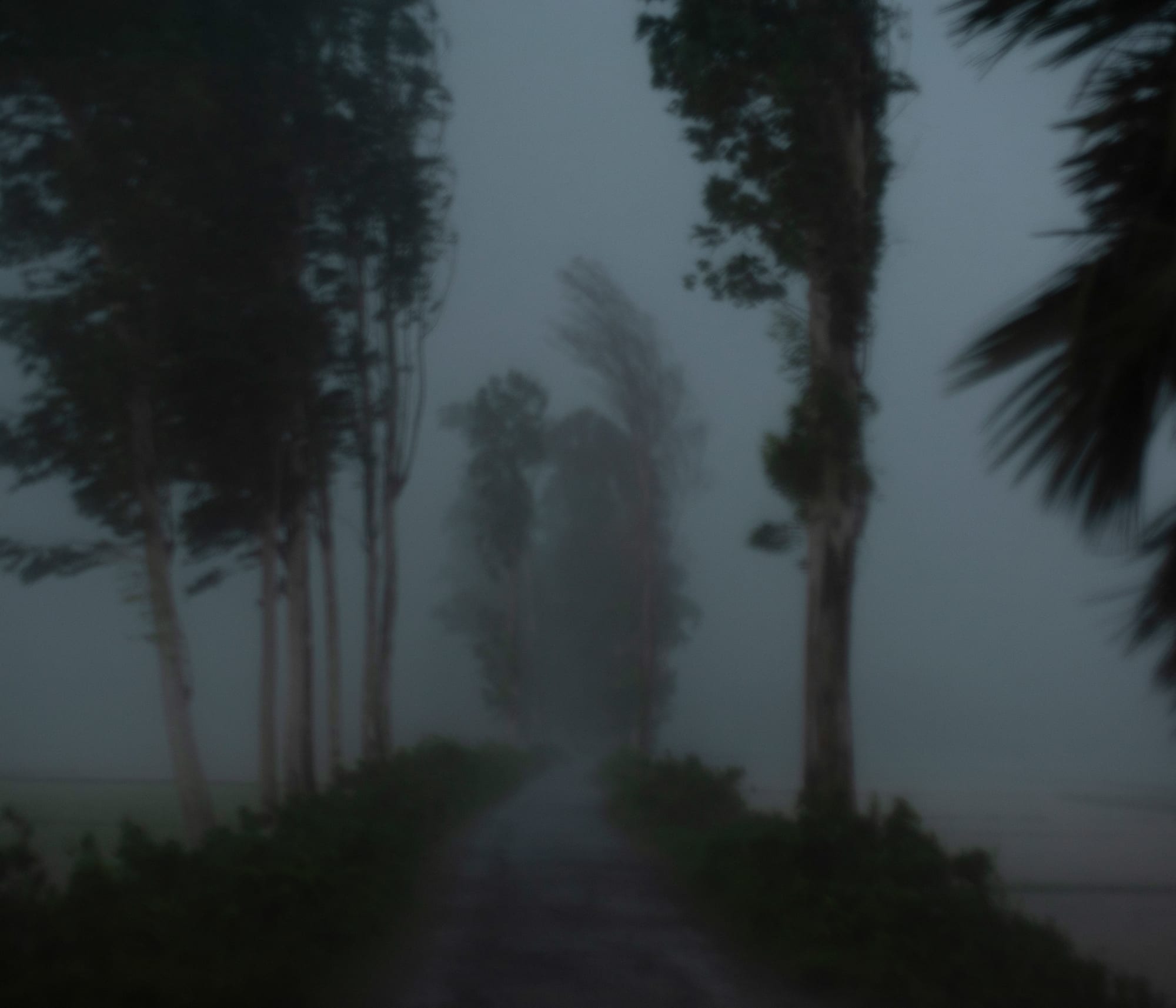 Ashfika Rahman, Files of the Disappeared, 2018 - Ongoing