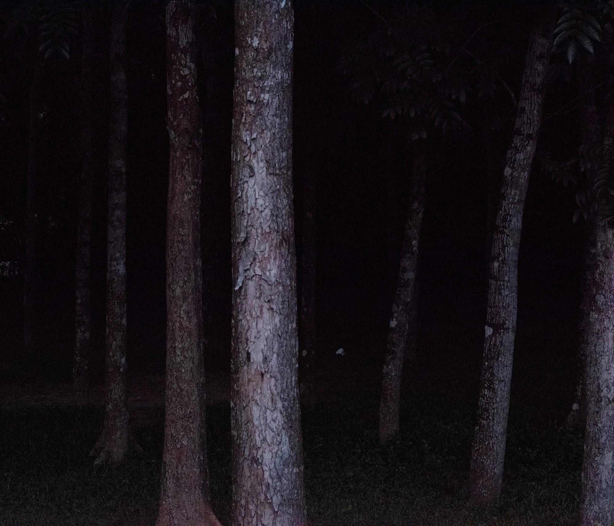 Ashfika Rahman, Files of the Disappeared, 2018 - Ongoing