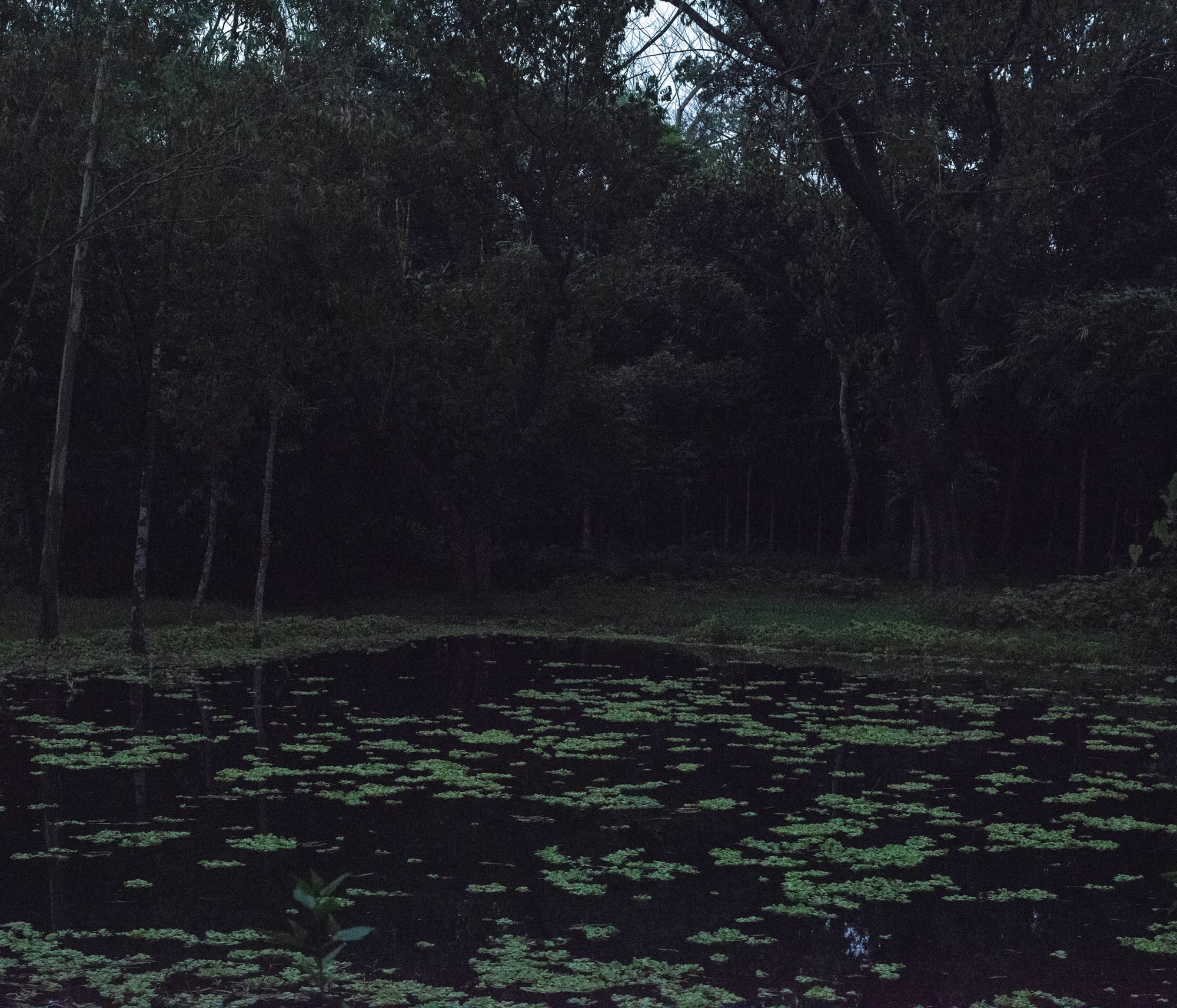 Ashfika Rahman, Files of the Disappeared, 2018 - Ongoing