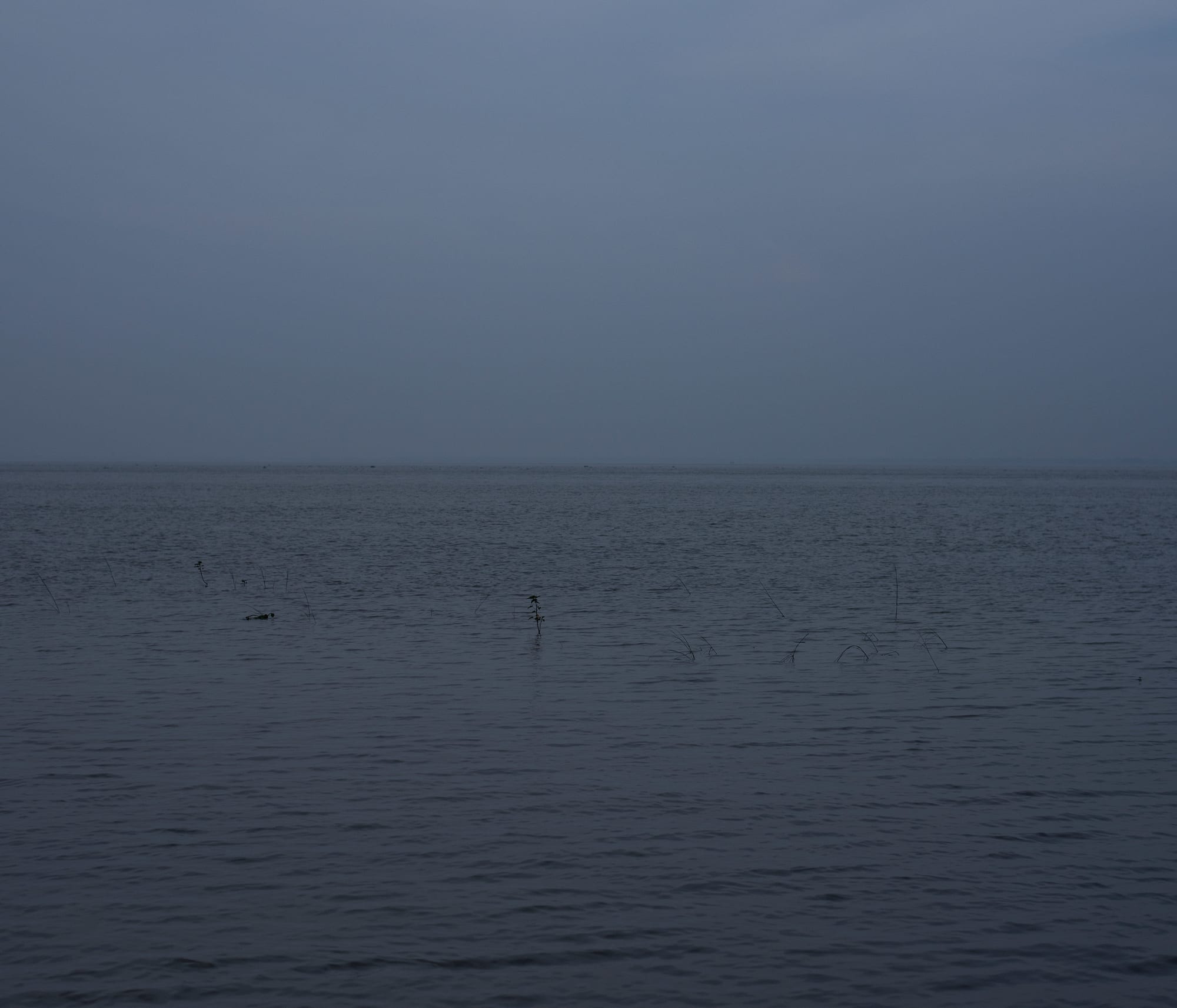 Ashfika Rahman, Files of the Disappeared, 2018 - Ongoing