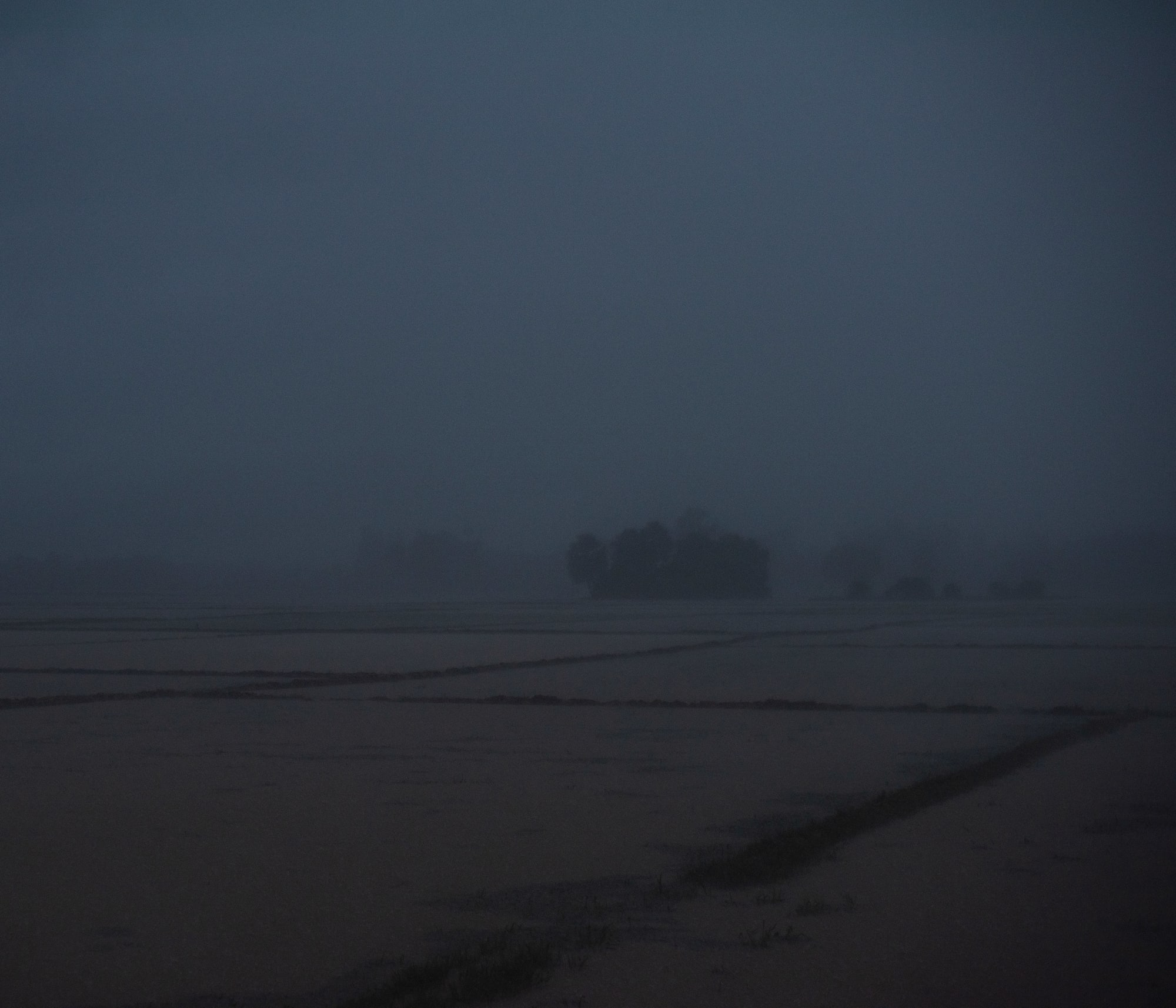 Ashfika Rahman, Files of the Disappeared, 2018 - Ongoing