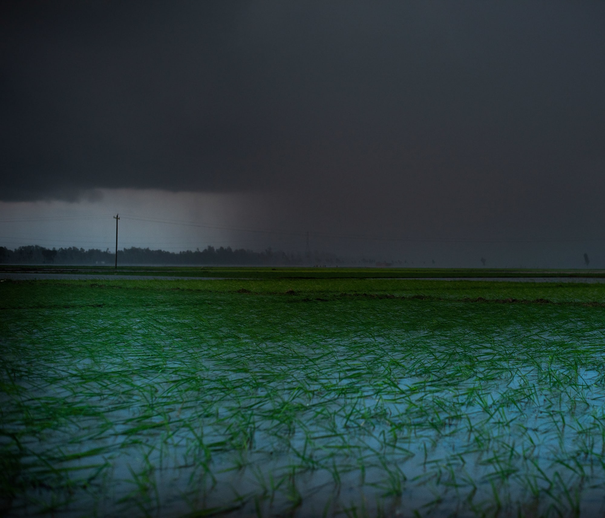 Ashfika Rahman, Files of the Disappeared, 2018 - Ongoing